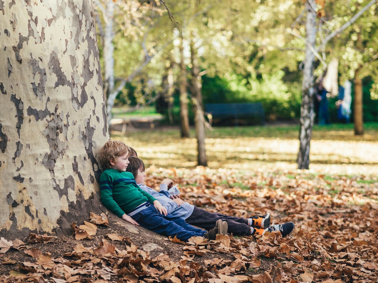 Children sitting under a tree